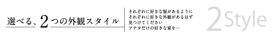 選べる、2つの外観スタイル